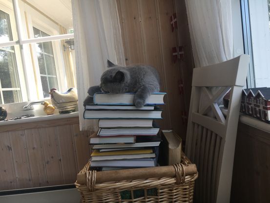 Min rejse